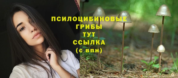 круглые Алзамай