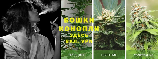 MDMA Premium VHQ Алексеевка